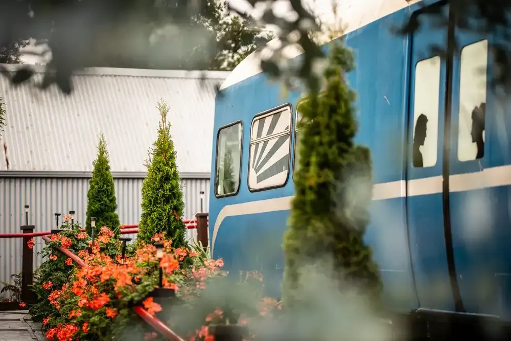 The blue railway carriage behind a garden of bright flowers
