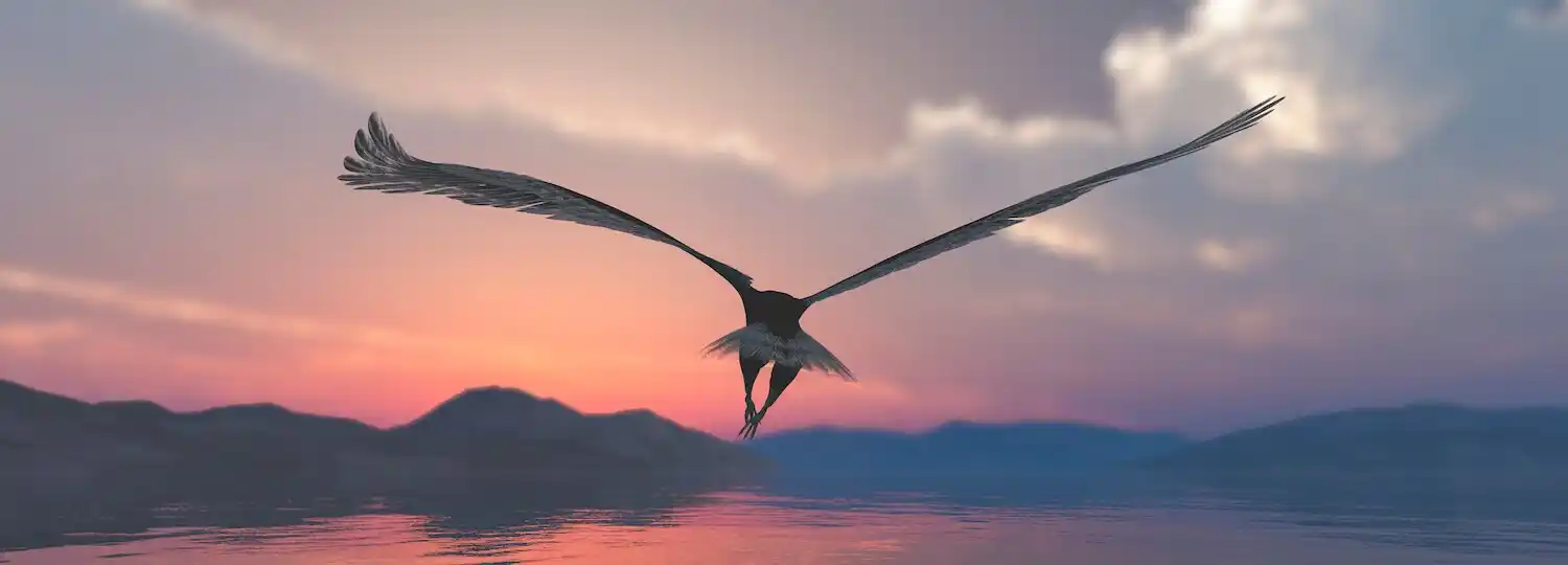 Illustration of a giant Haast eagle in flight against a sunset sky