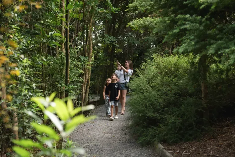 A family walking a bush track through native forest near Waikanae