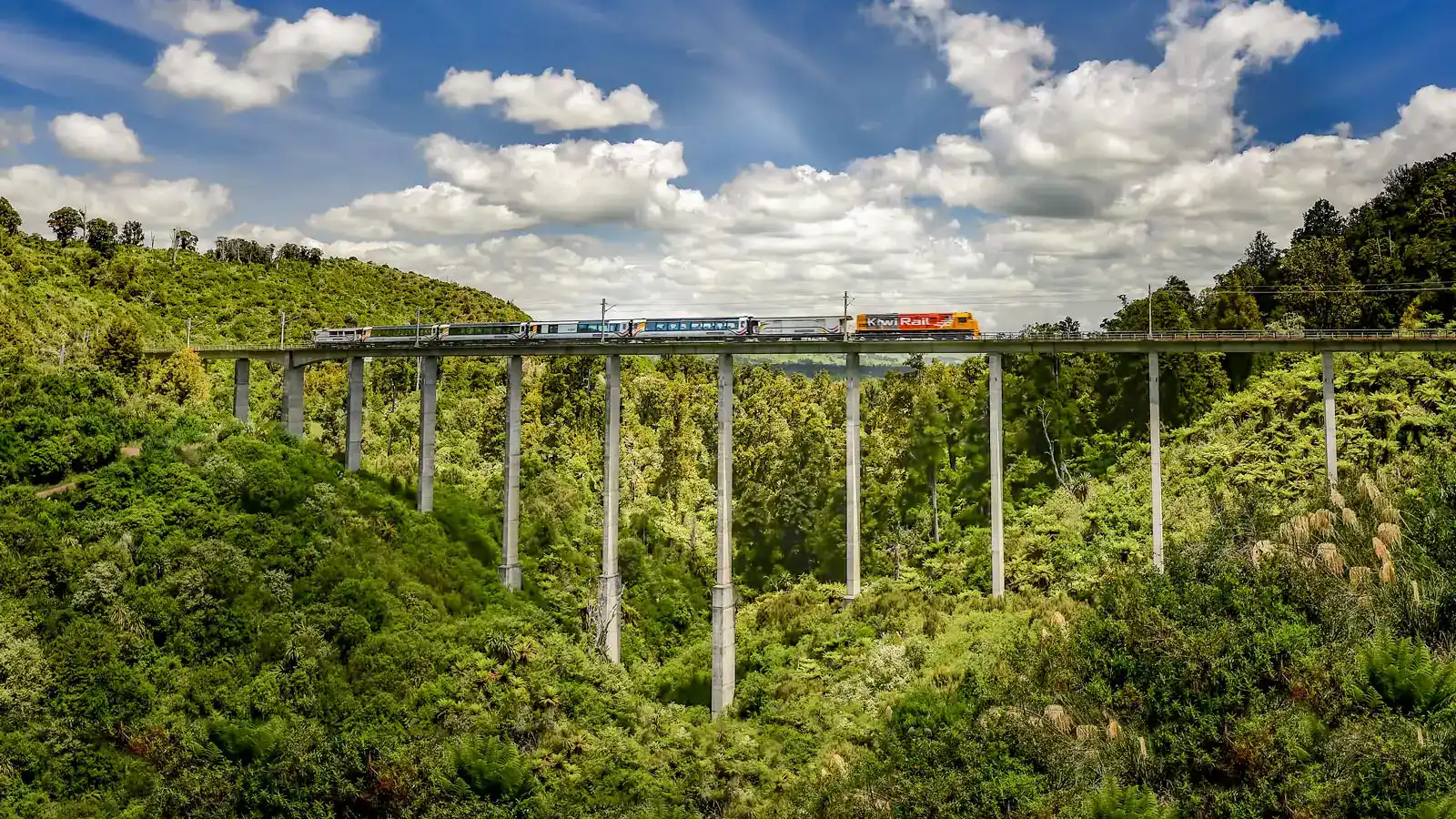 The Northern Explorer crossing the Hapuawhenua Viaduct through native bush