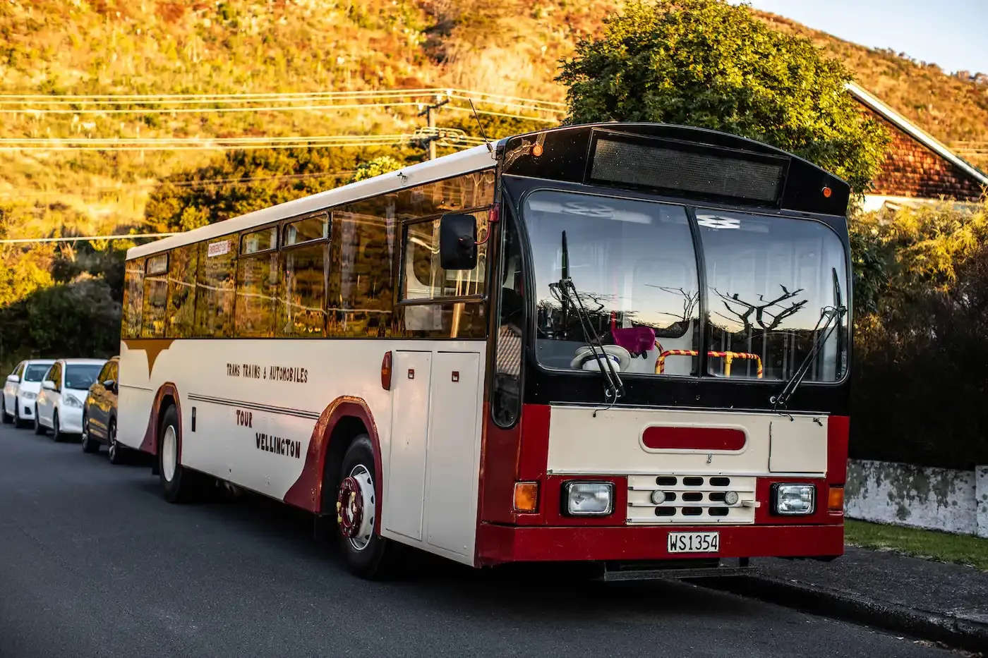 Tour Wellington’s red and cream vintage bus in golden evening light